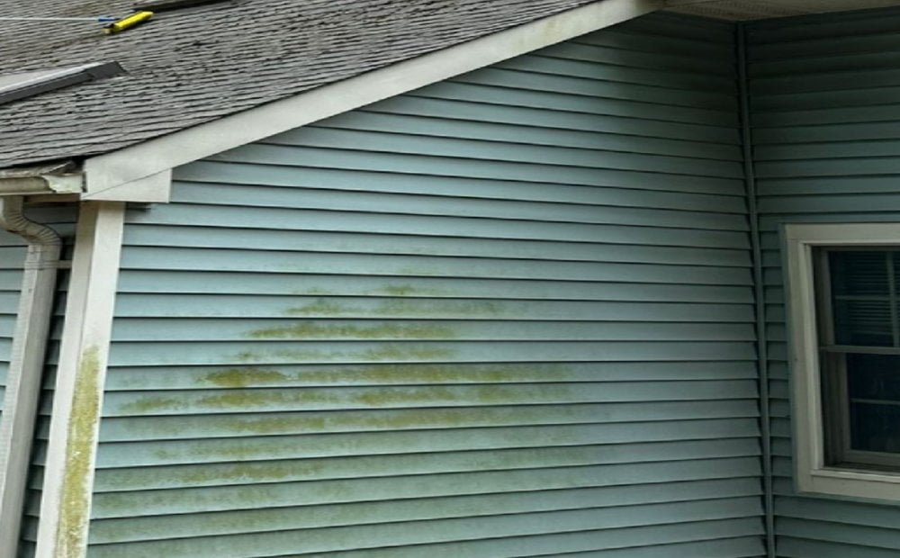 Siding with organic buildup before soft washing by Property Washing Pros